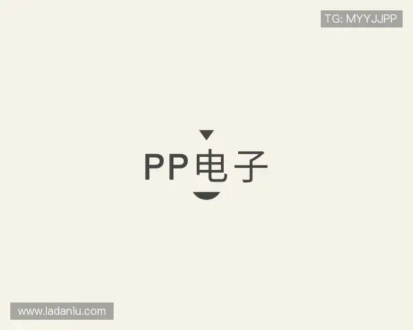关于PP电子